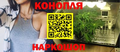 бошки Славгород