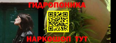 бошки Славгород