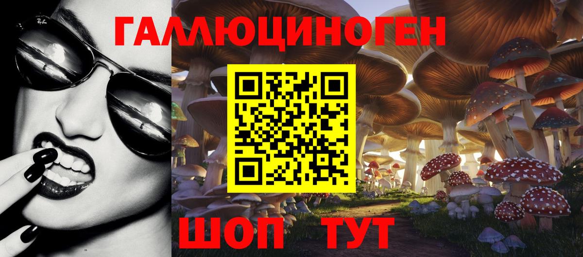 Галлюциногенные грибы мухоморы  Вход с VPN  Псилоцибиновые грибы Psilocybe  Ахтубинск 